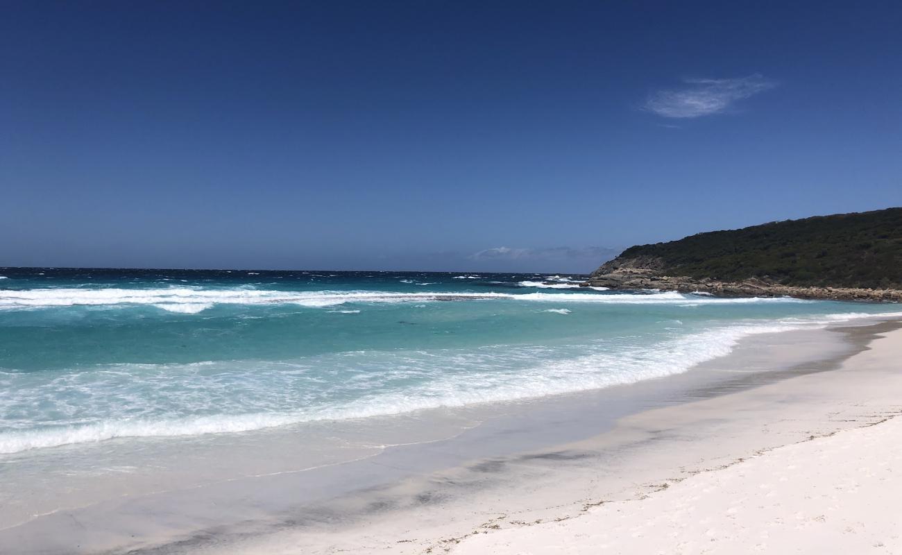 Blossoms Beach'in fotoğrafı beyaz ince kum yüzey ile