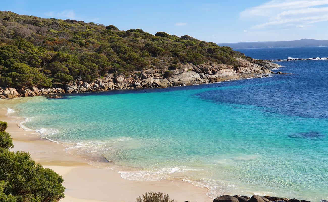 Little Boat Harbour Beach'in fotoğrafı i̇nce beyaz kum yüzey ile