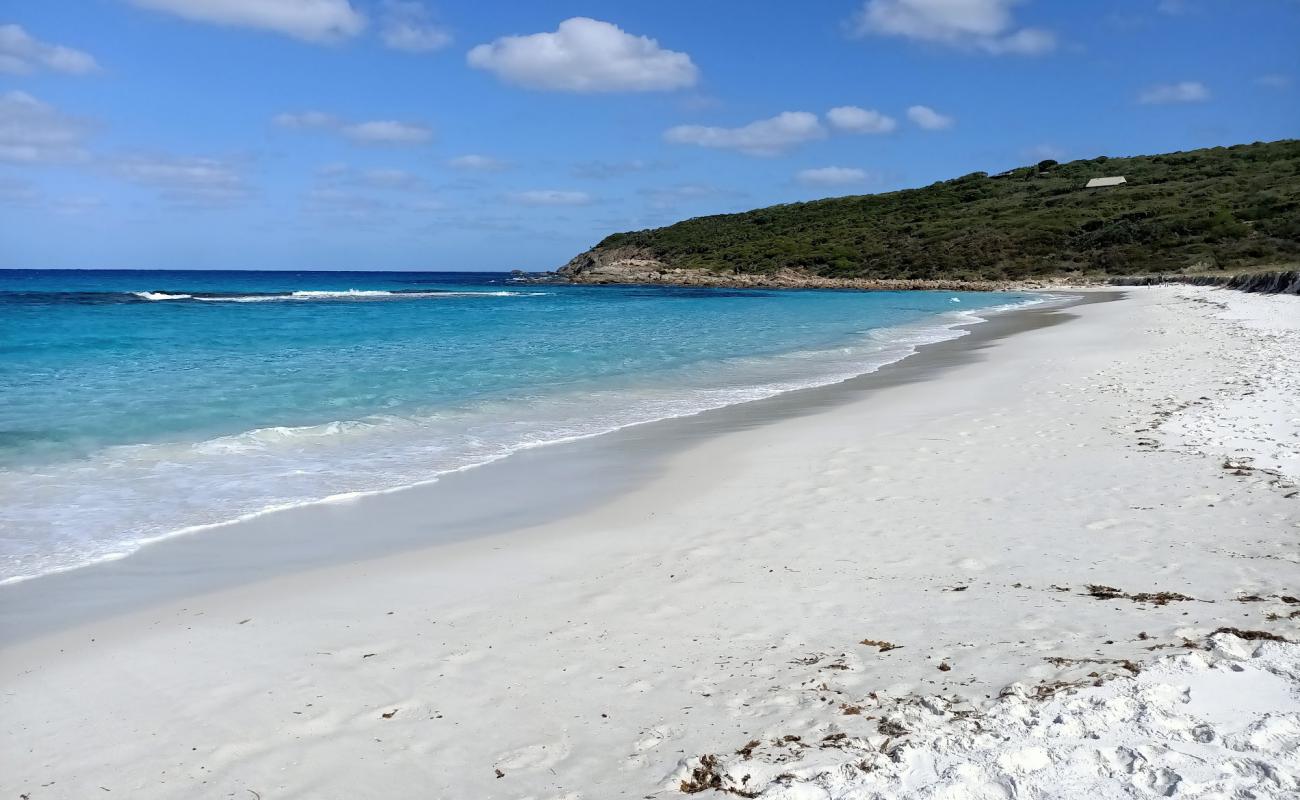 Short Beach'in fotoğrafı parlak ince kum yüzey ile