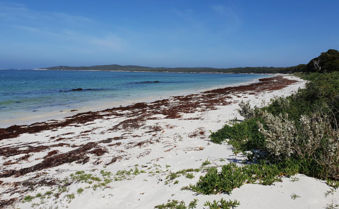 Mason Beach'in fotoğrafı parlak kum yüzey ile