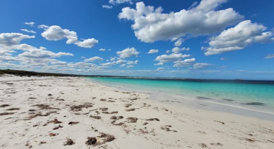 Alexander Bay Beach