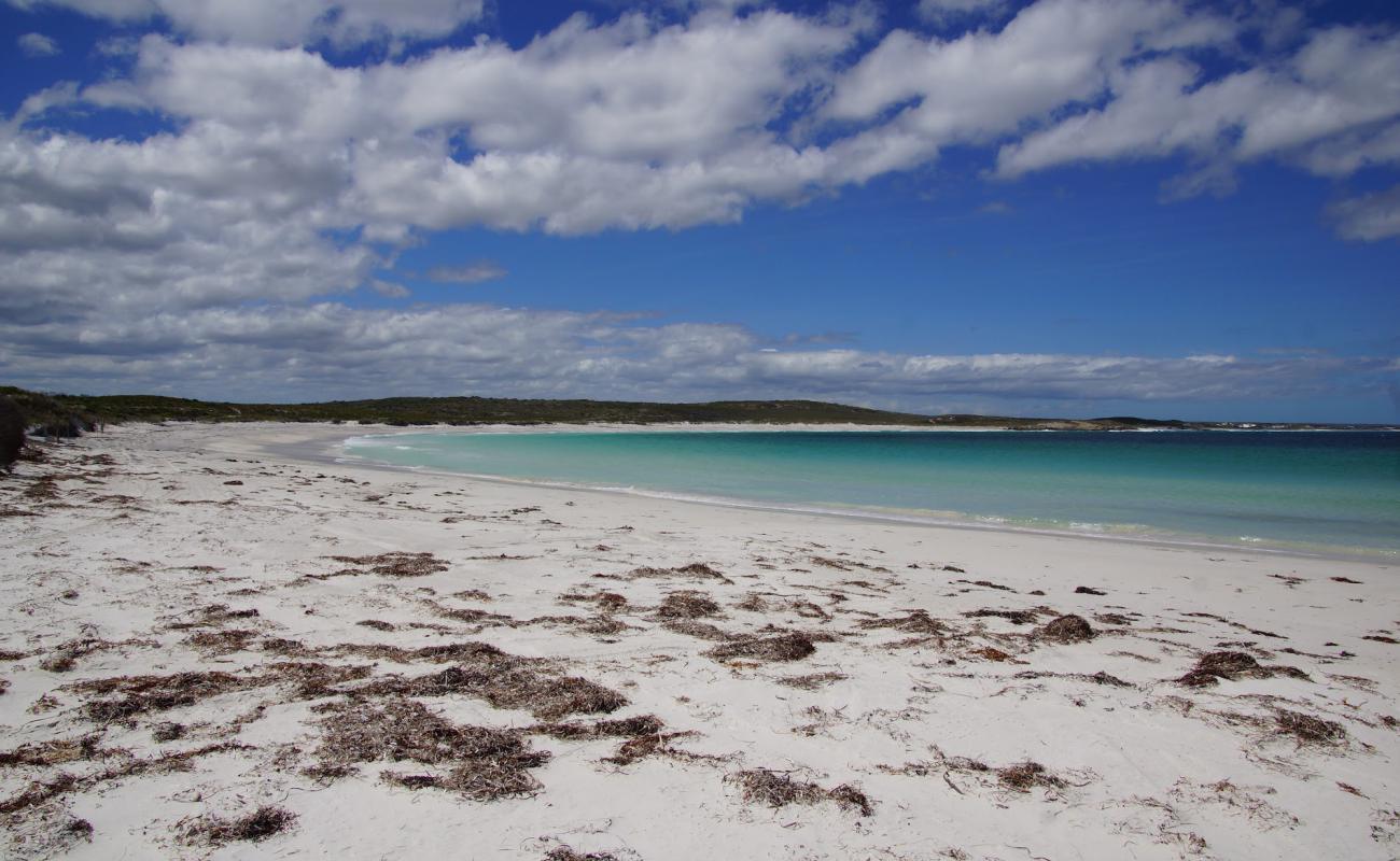 Poison Creek Beach'in fotoğrafı beyaz kum yüzey ile