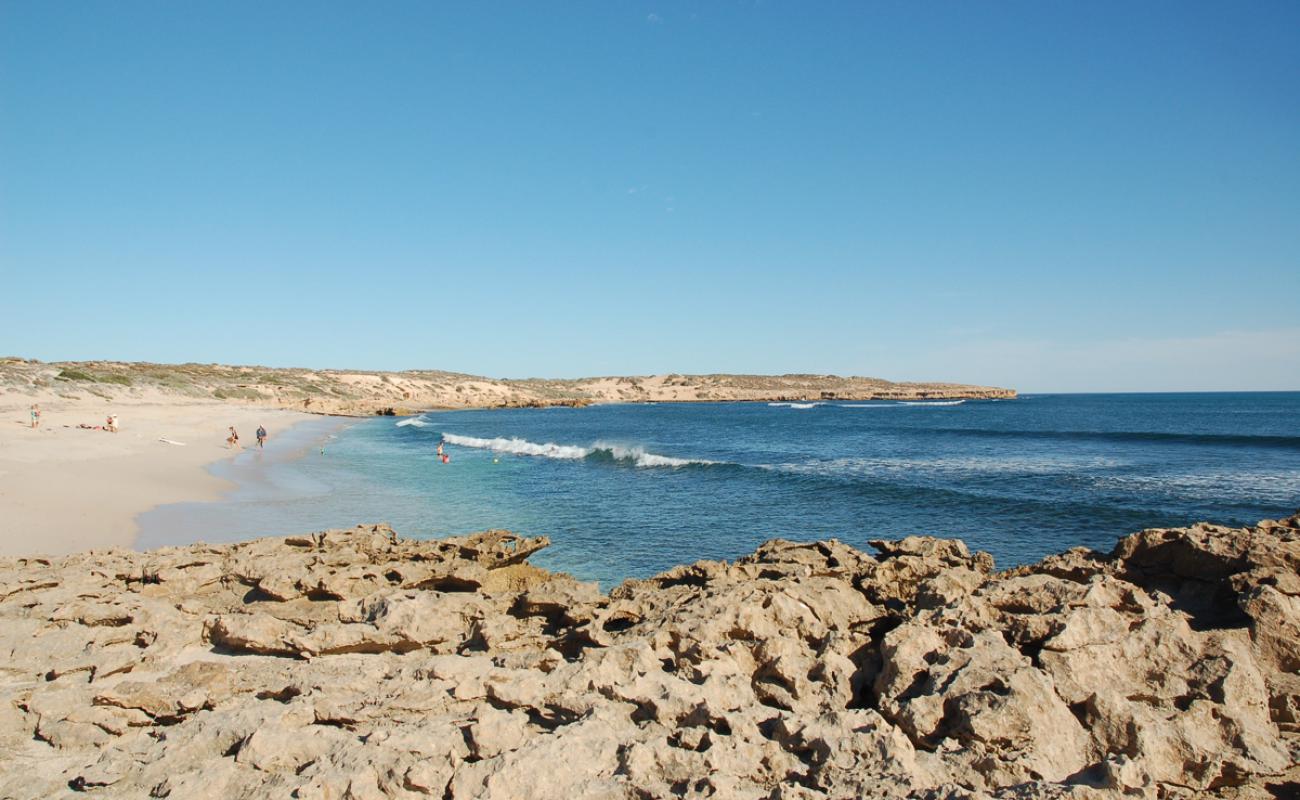Cactus Beach'in fotoğrafı açık bej kum yüzey ile