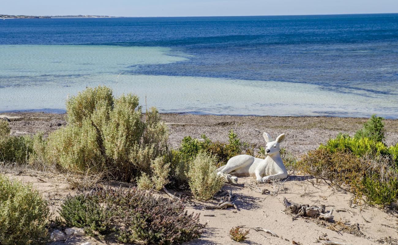 RoseBay Beach'in fotoğrafı açık bej kum yüzey ile