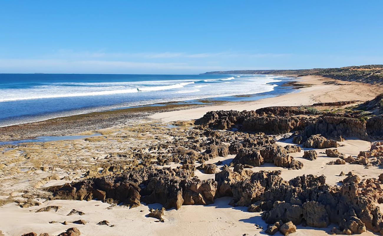 Back Beach'in fotoğrafı parlak kum yüzey ile