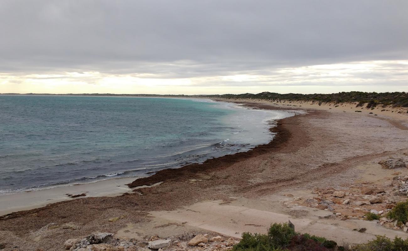 Surfers Beach'in fotoğrafı parlak kum yüzey ile