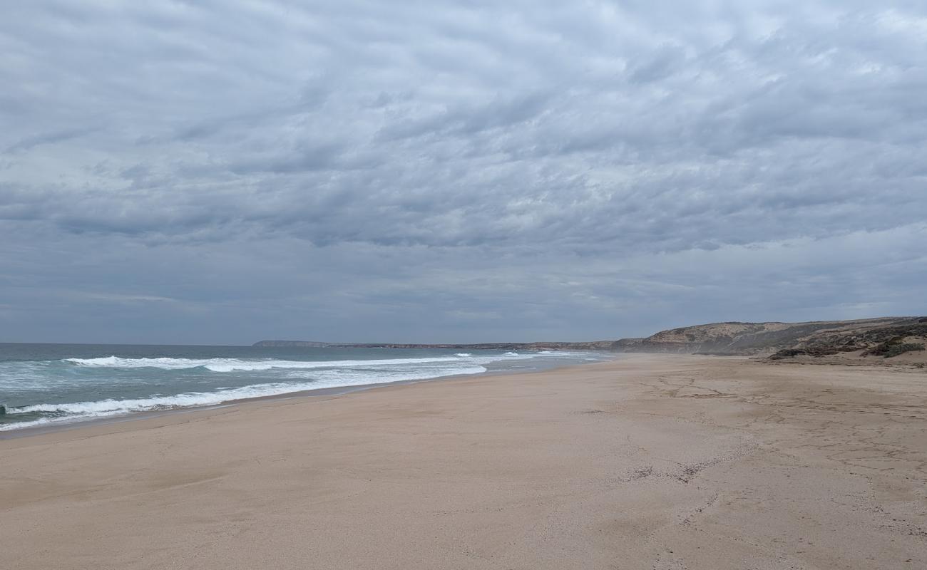 Mount Camel Beach'in fotoğrafı parlak ince kum yüzey ile