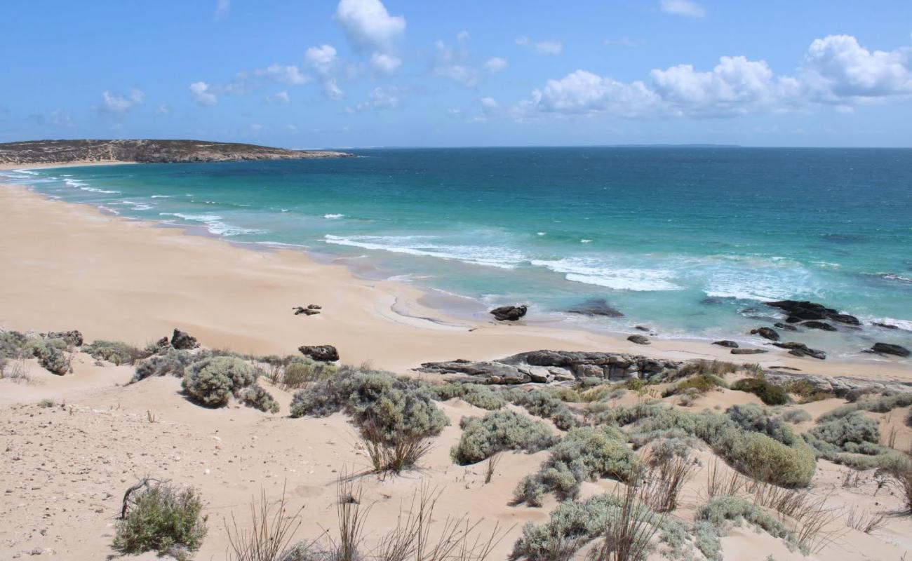 Greenly Beach'in fotoğrafı açık bej kum yüzey ile