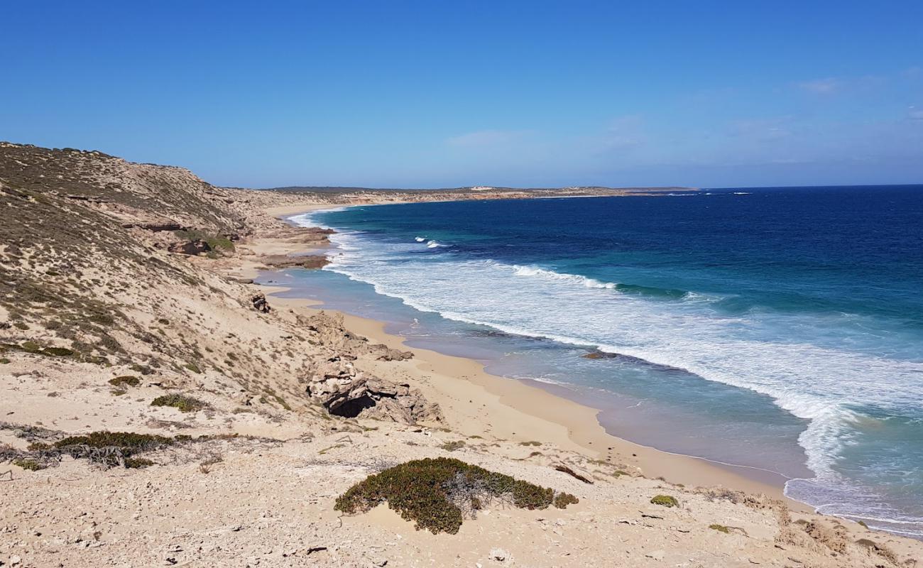 Long Beach'in fotoğrafı açık bej kum yüzey ile