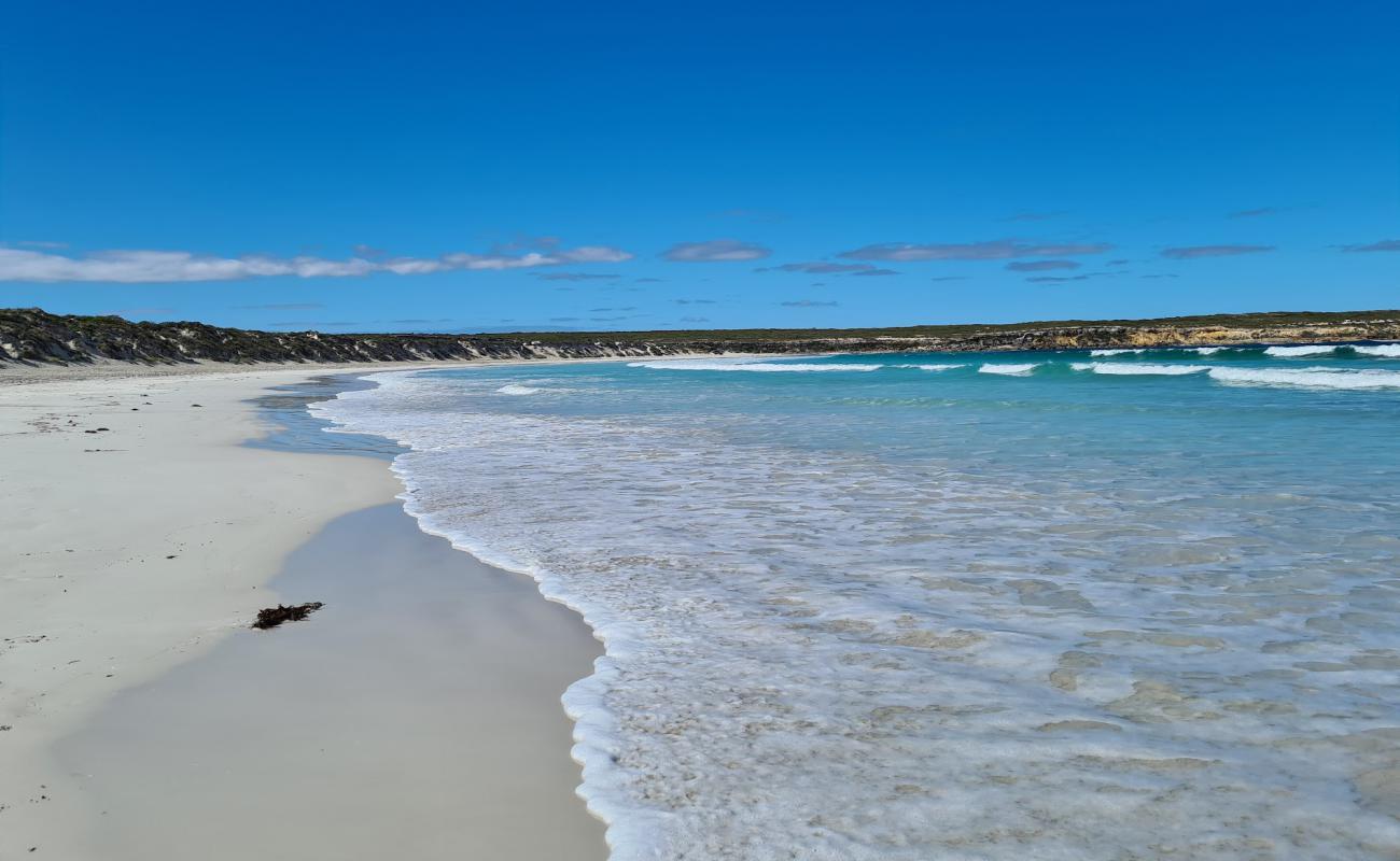 Fishery Bay Beach'in fotoğrafı parlak kum yüzey ile