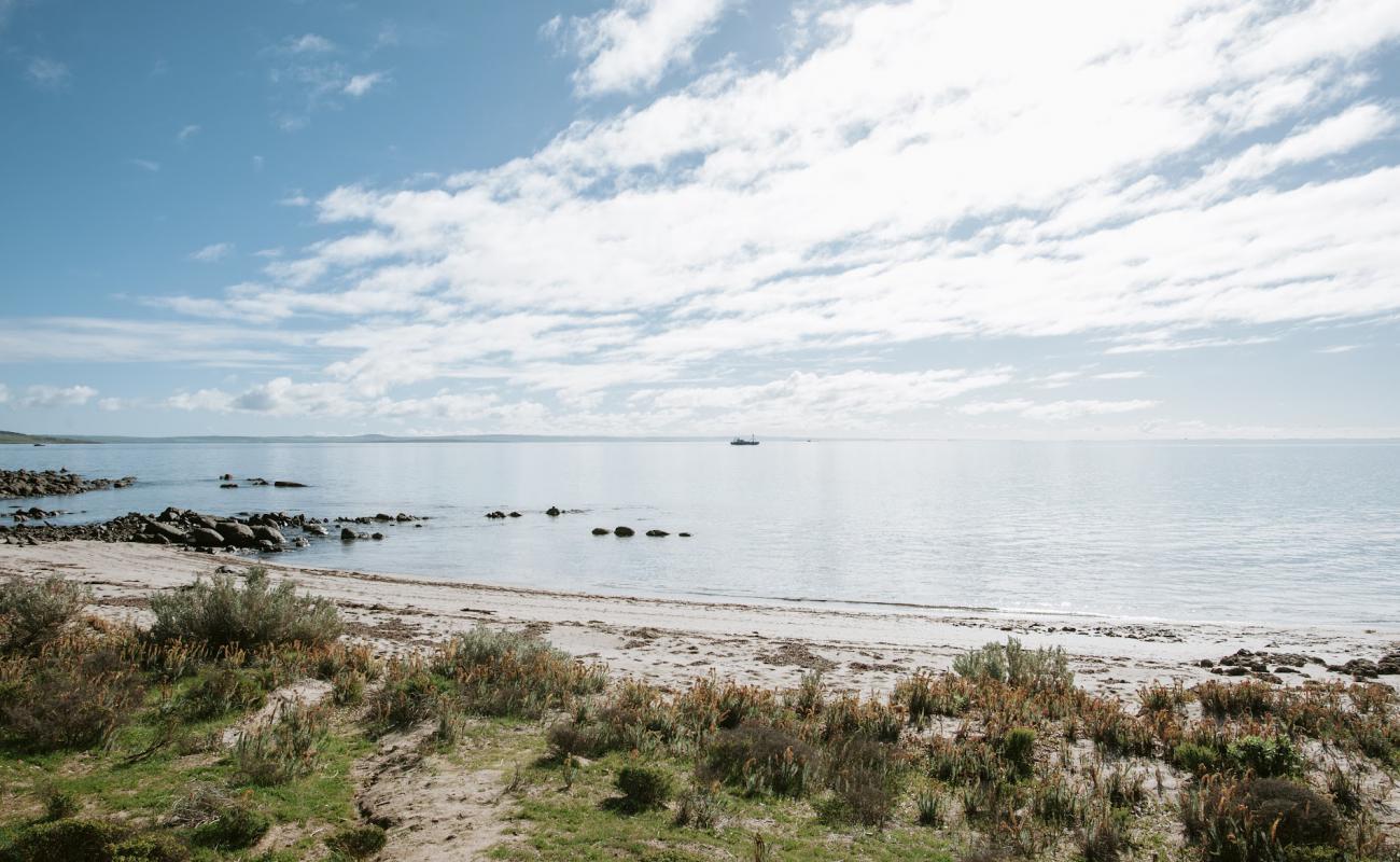 Engine Point Beach'in fotoğrafı parlak kum yüzey ile