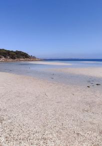 Port Lincoln Bölgesi