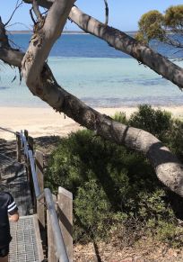 Port Lincoln Bölgesi