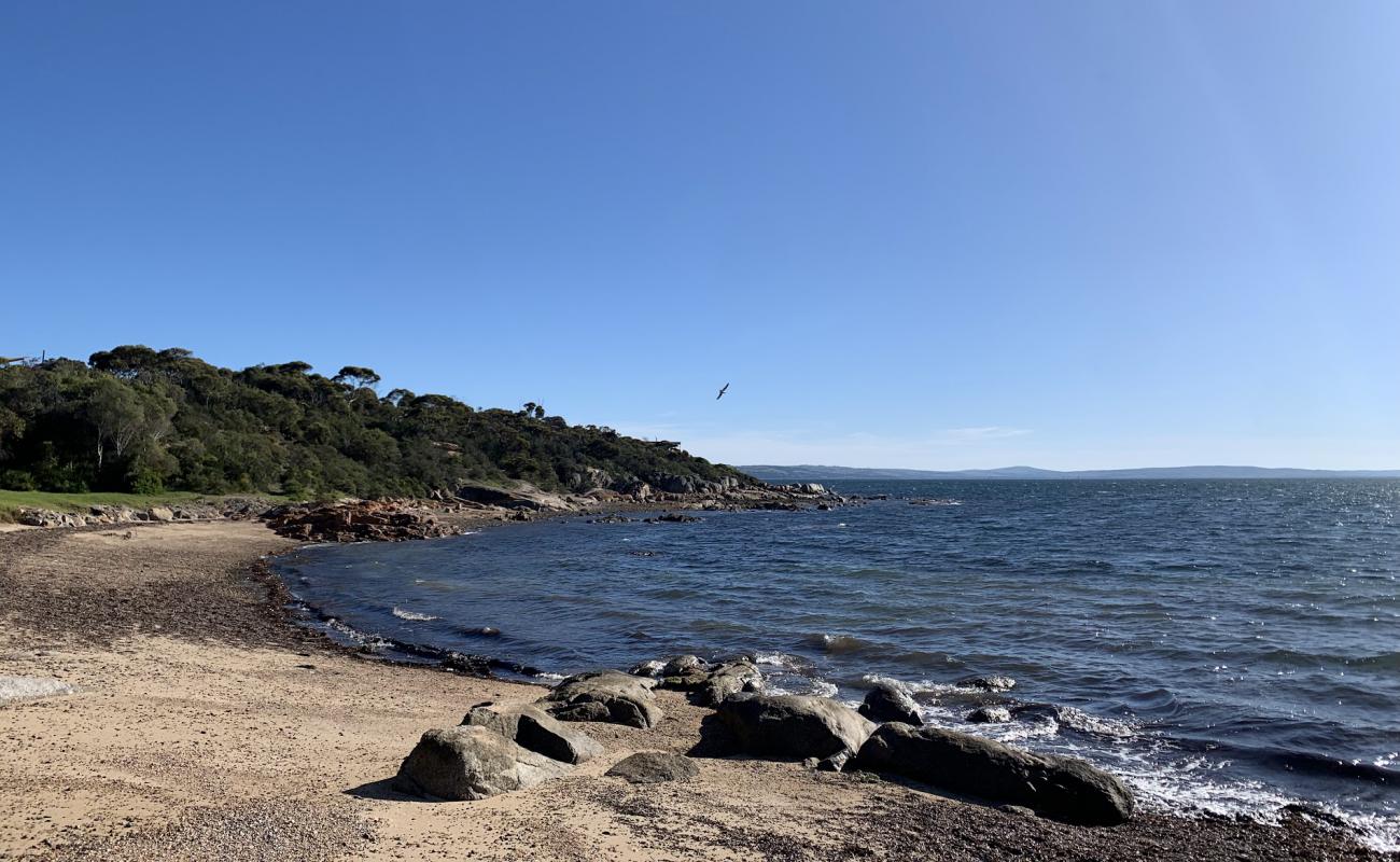 Shelly Beach'in fotoğrafı hafif ince çakıl taş yüzey ile