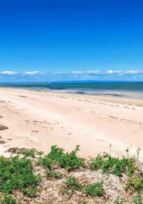 Whyalla Bölgesi
