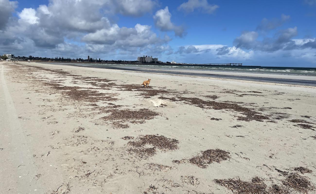 North Beach Foreshore'in fotoğrafı parlak kum yüzey ile