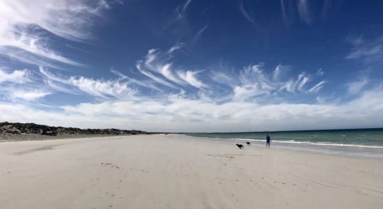 Wauraltee Beach