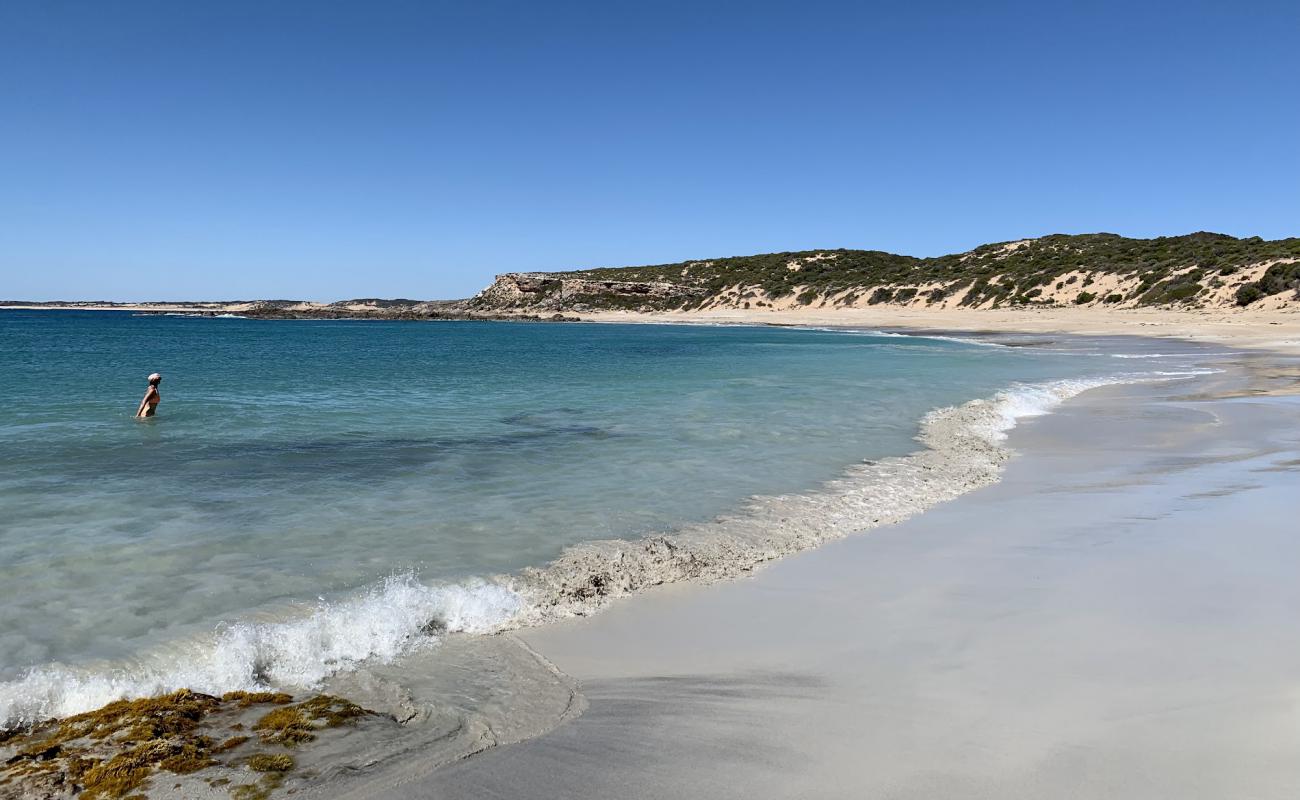 Shell Beach'in fotoğrafı açık bej kum yüzey ile
