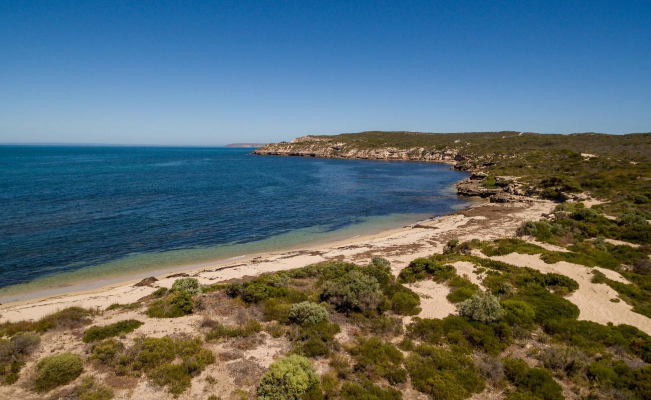 Cable Bay Beach'in fotoğrafı açık bej kum yüzey ile
