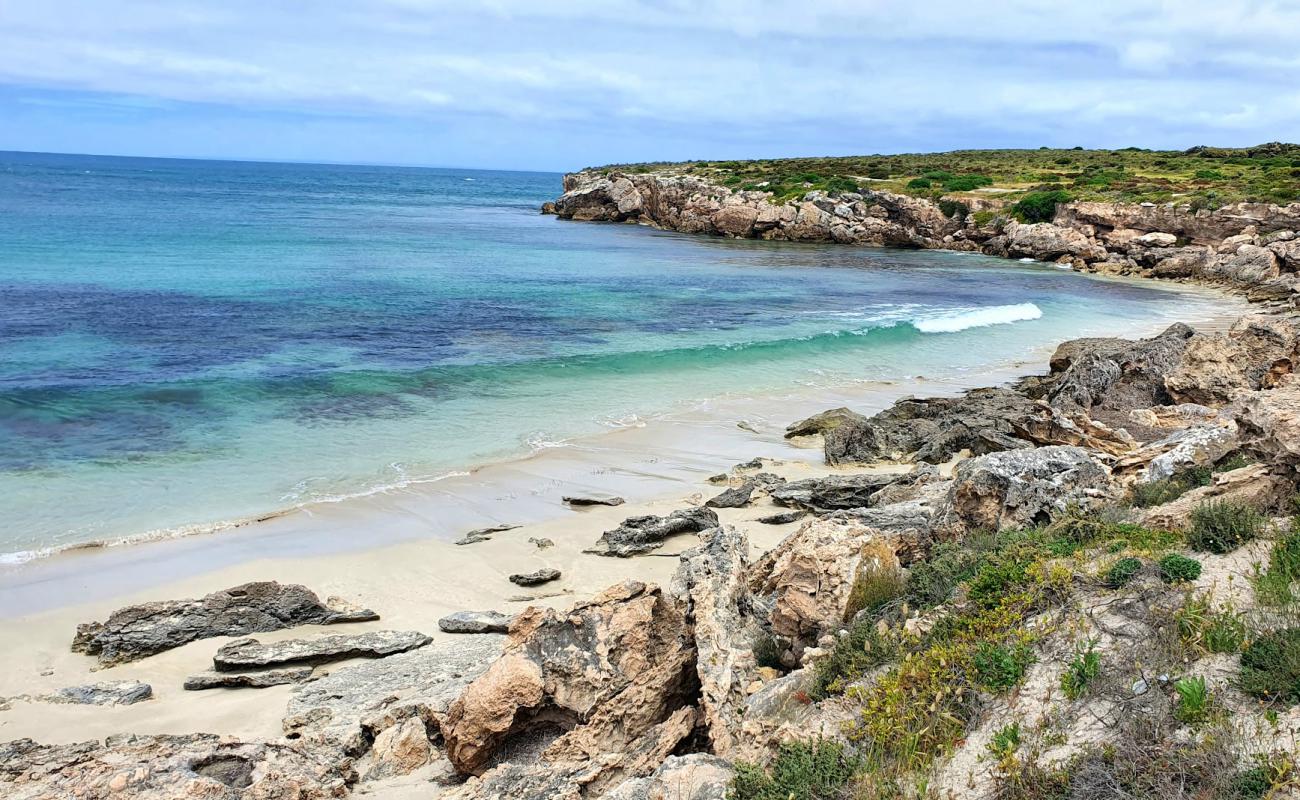 Little Emu Beach'in fotoğrafı parlak kum yüzey ile