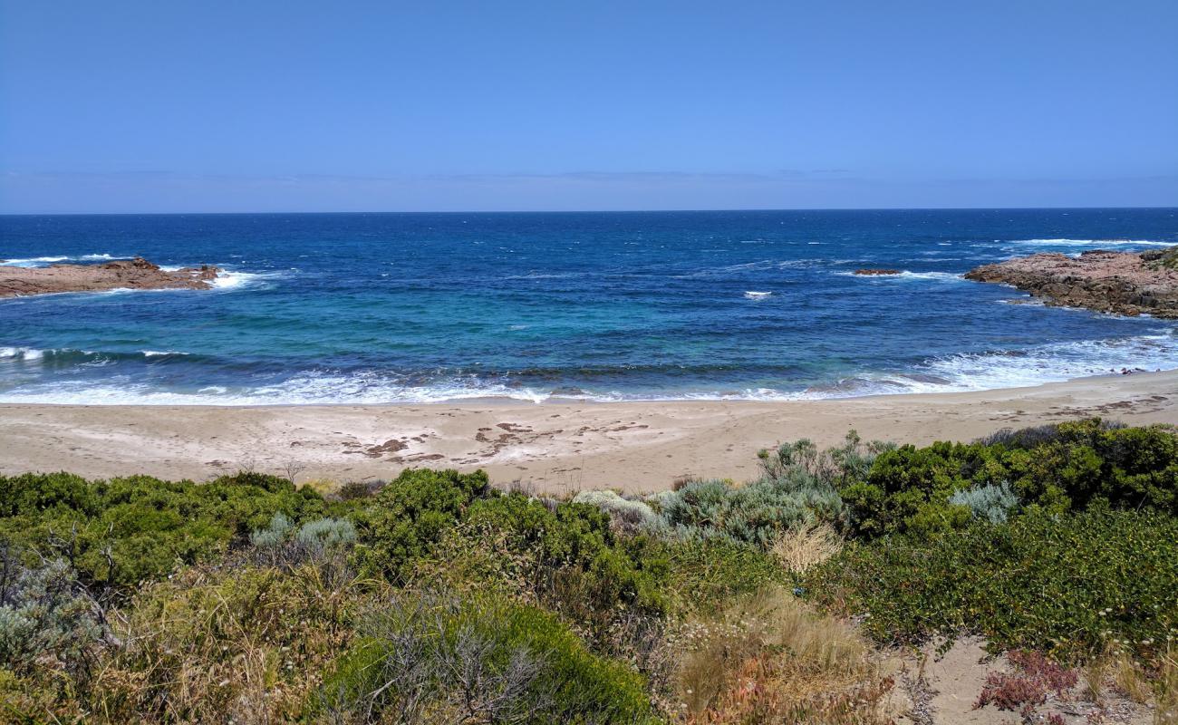 Coffin Beach'in fotoğrafı parlak kum yüzey ile