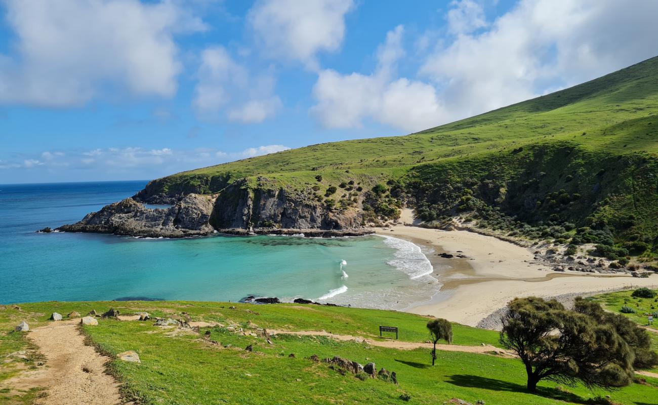 Blowhole Beach'in fotoğrafı parlak kum yüzey ile