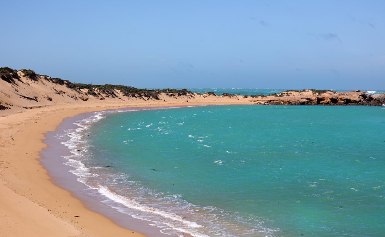 Little Dip Beach'in fotoğrafı parlak kum yüzey ile