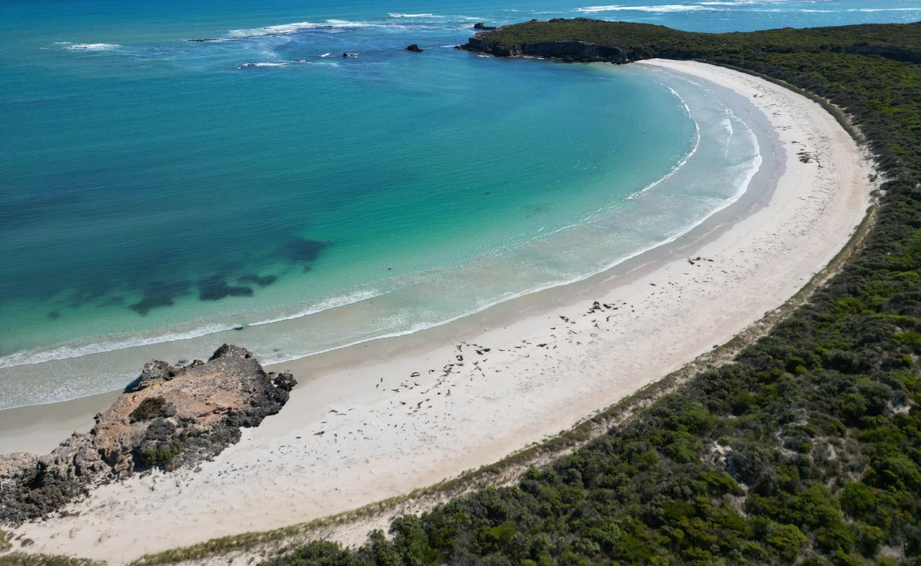 Nora Creina Beach'in fotoğrafı açık bej kum yüzey ile