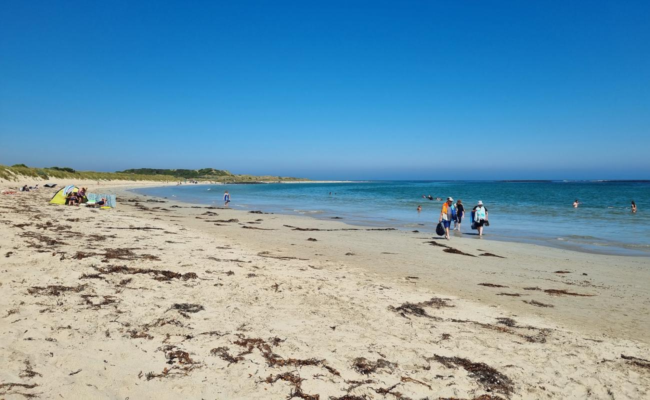 Killarney Beach'in fotoğrafı açık bej kum yüzey ile