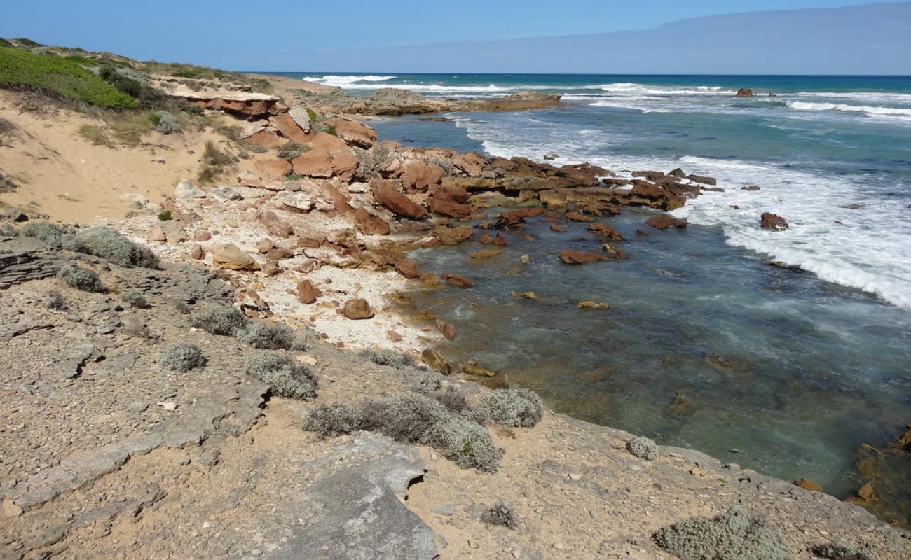 Shelly Beach, Warrnambool'in fotoğrafı taşlar yüzey ile