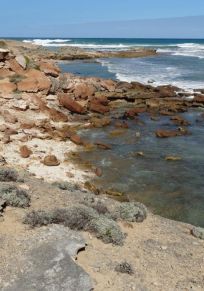 Warrnambool Bölgesi