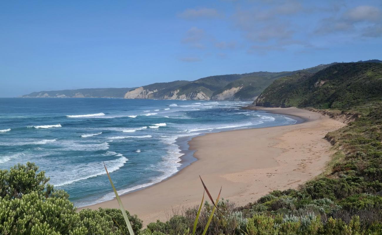 Johanna Beach'in fotoğrafı parlak kum yüzey ile