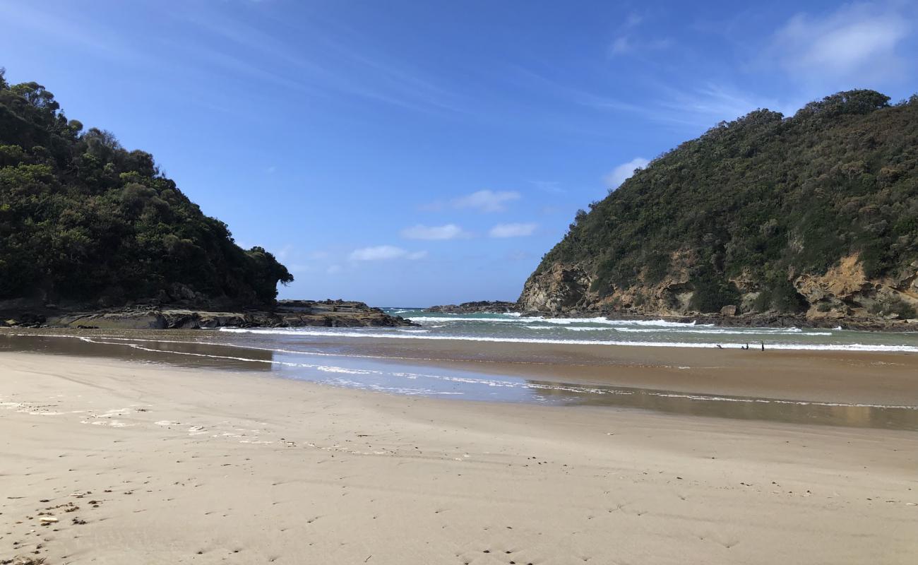 Parker Beach'in fotoğrafı parlak kum yüzey ile