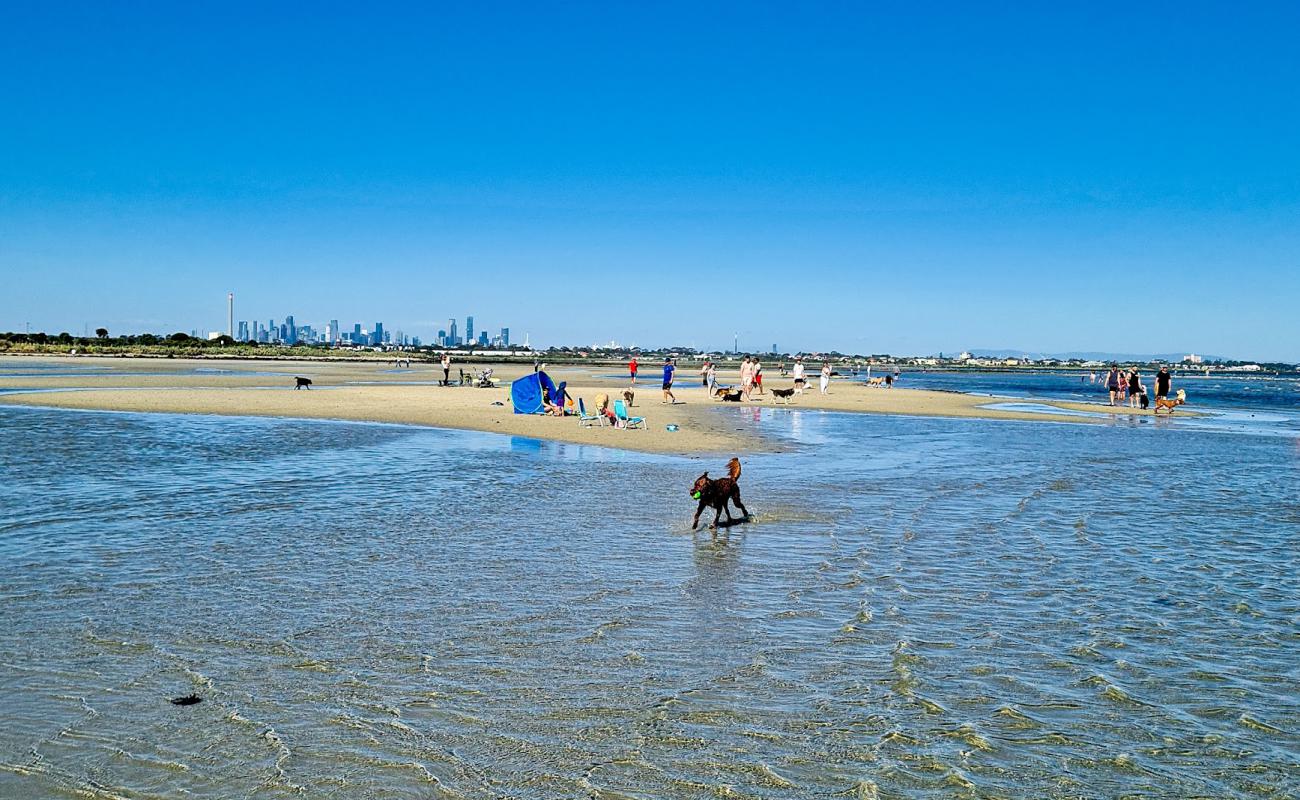 Altona Beach Dog Off'in fotoğrafı açık bej kum yüzey ile