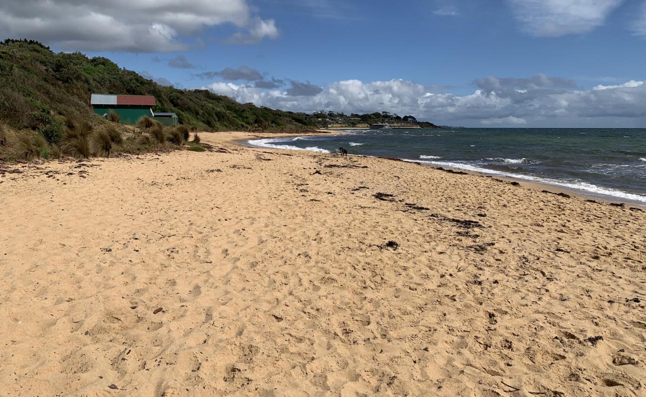 Leash Free Beach'in fotoğrafı parlak kum yüzey ile