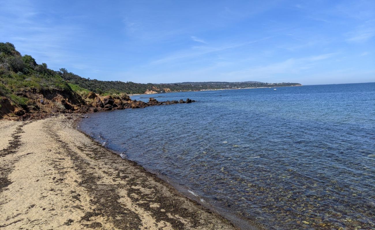 Fosters Beach'in fotoğrafı taşlı kum yüzey ile