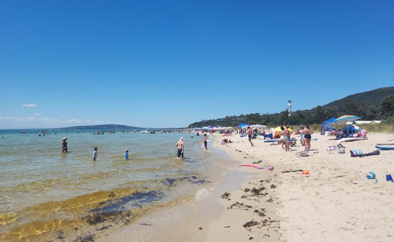 McCrae Beach'in fotoğrafı parlak kum yüzey ile