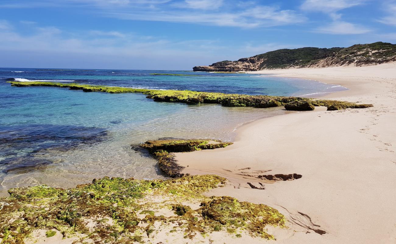 Koonya Ocean Beach'in fotoğrafı açık bej kum yüzey ile