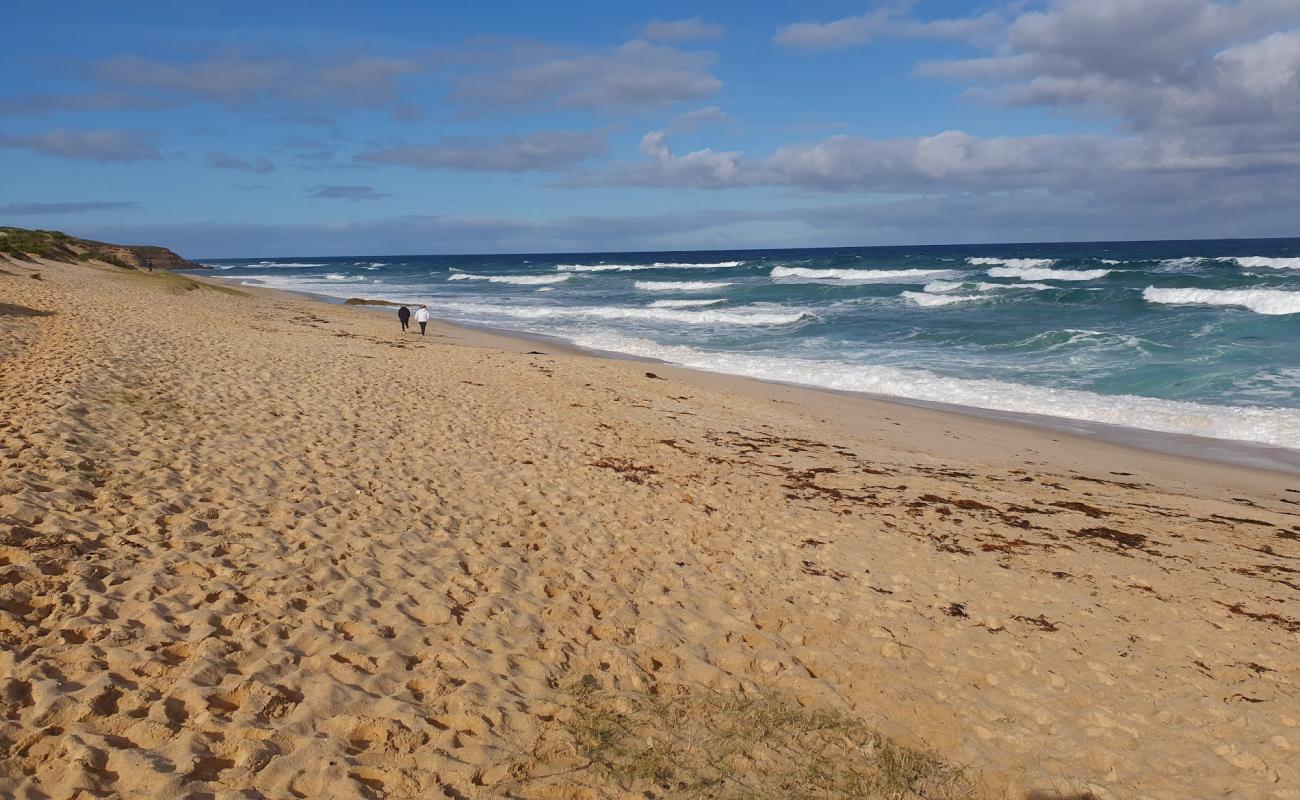 Number Sixteen Beach'in fotoğrafı açık bej kum yüzey ile