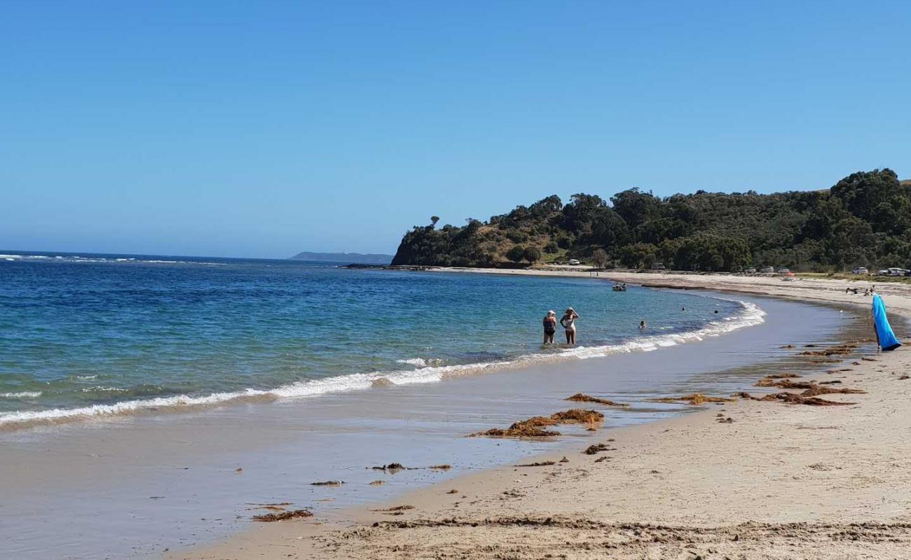 Shoreham Beach'in fotoğrafı açık bej kum yüzey ile
