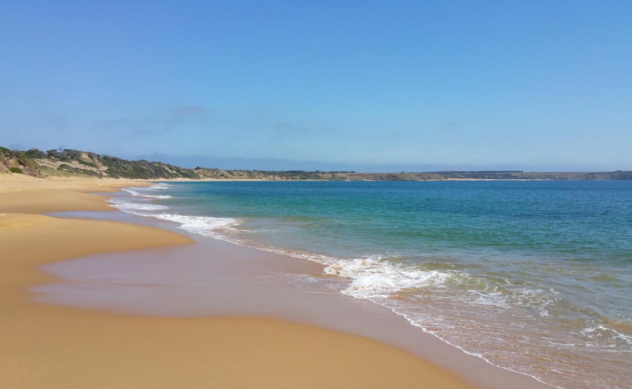Flynns Beach'in fotoğrafı açık bej kum yüzey ile