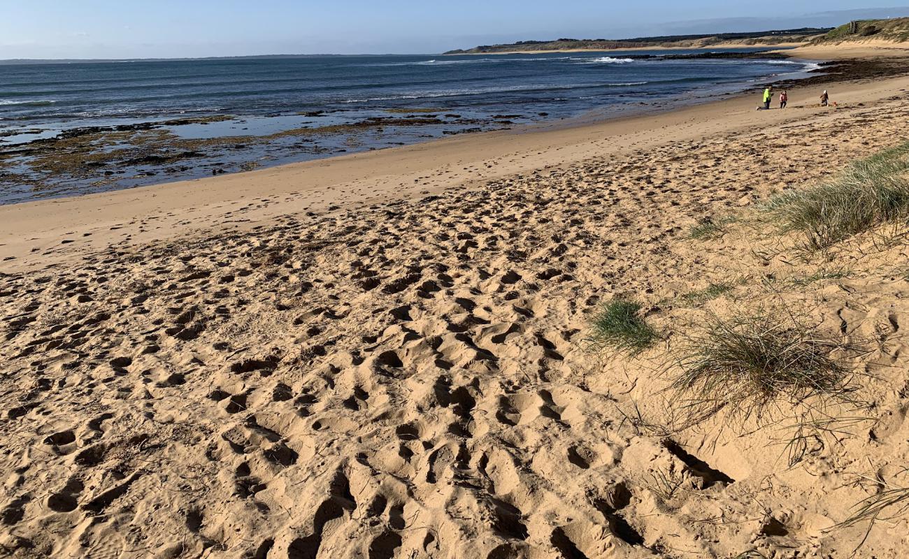 Shelly Beach'in fotoğrafı açık bej kum yüzey ile