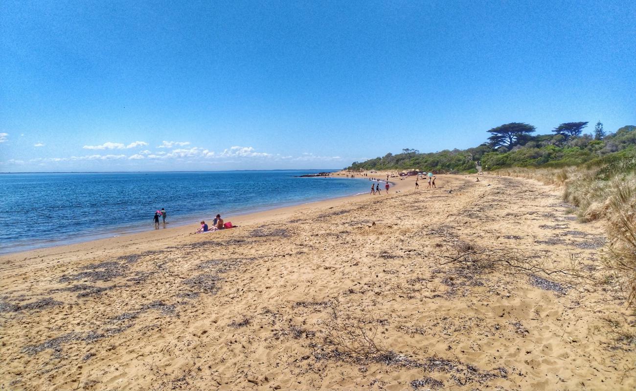Cowrie Beach'in fotoğrafı açık bej kum yüzey ile
