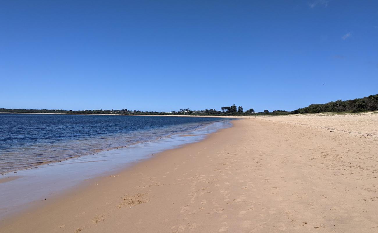 Cape Woolamai Beach'in fotoğrafı açık bej kum yüzey ile