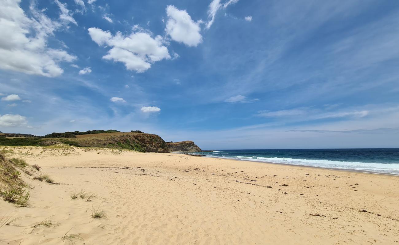Punchbowl Beach'in fotoğrafı açık bej kum yüzey ile