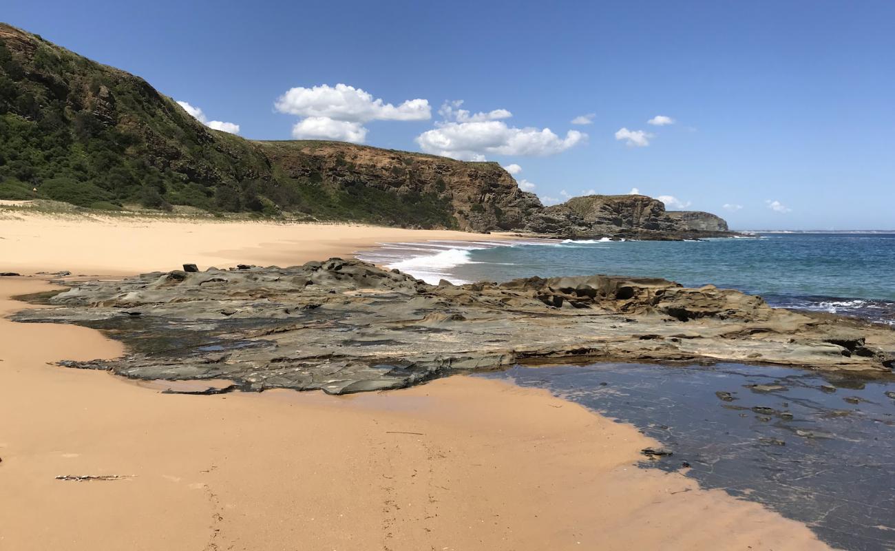 Sandy Waterhole Beach'in fotoğrafı parlak kum yüzey ile