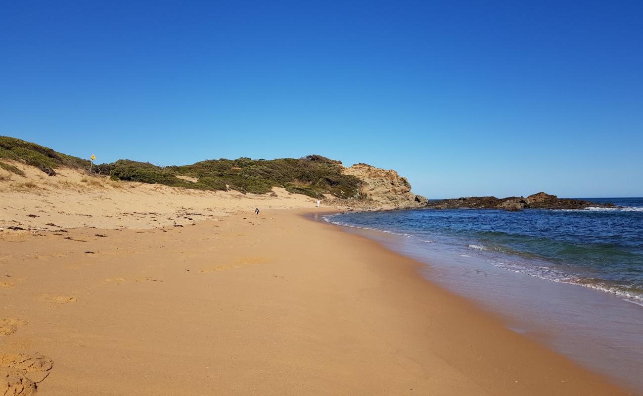 Shelley Beach'in fotoğrafı açık bej kum yüzey ile