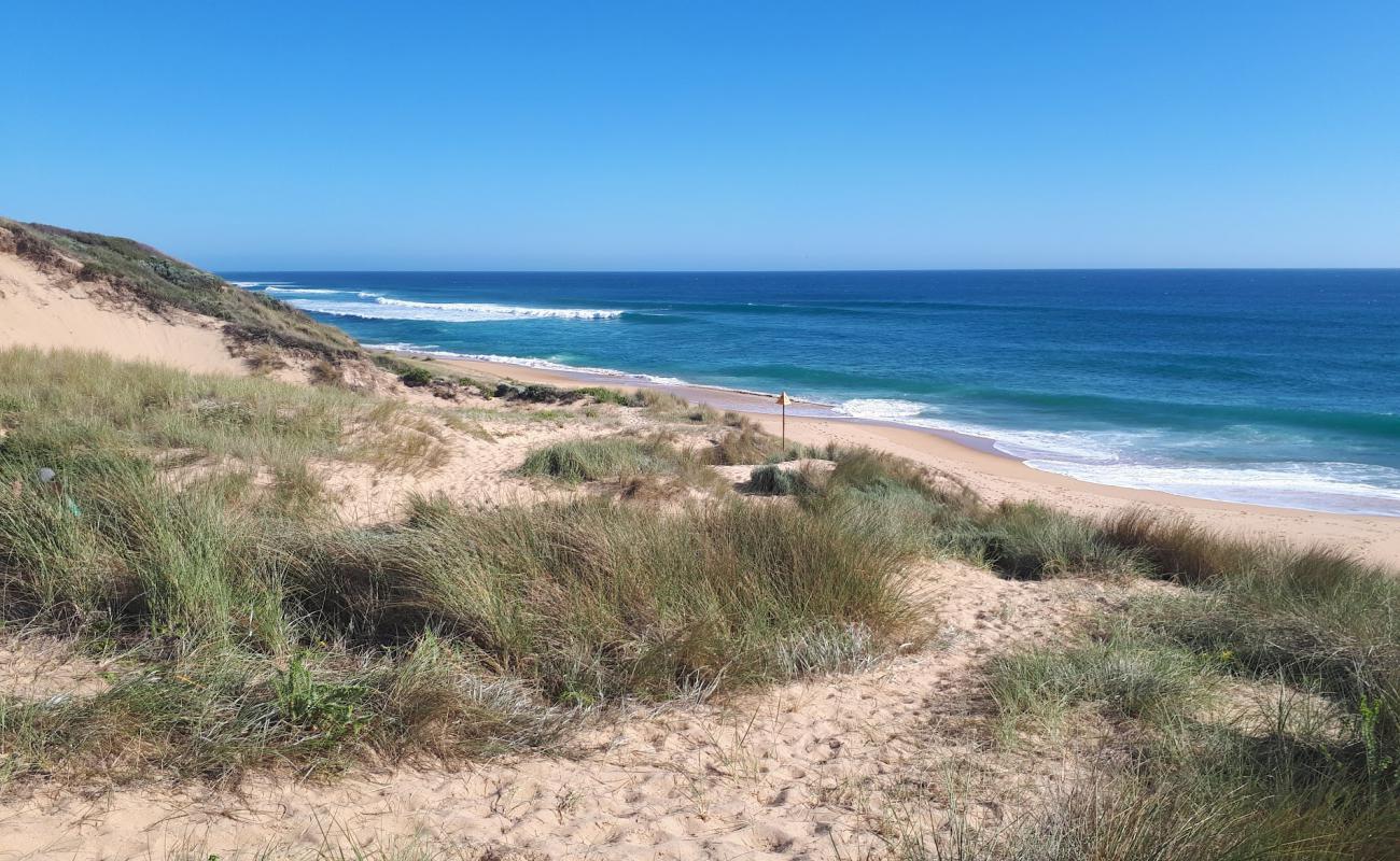 Williamson's Beach'in fotoğrafı i̇nce bej kum yüzey ile