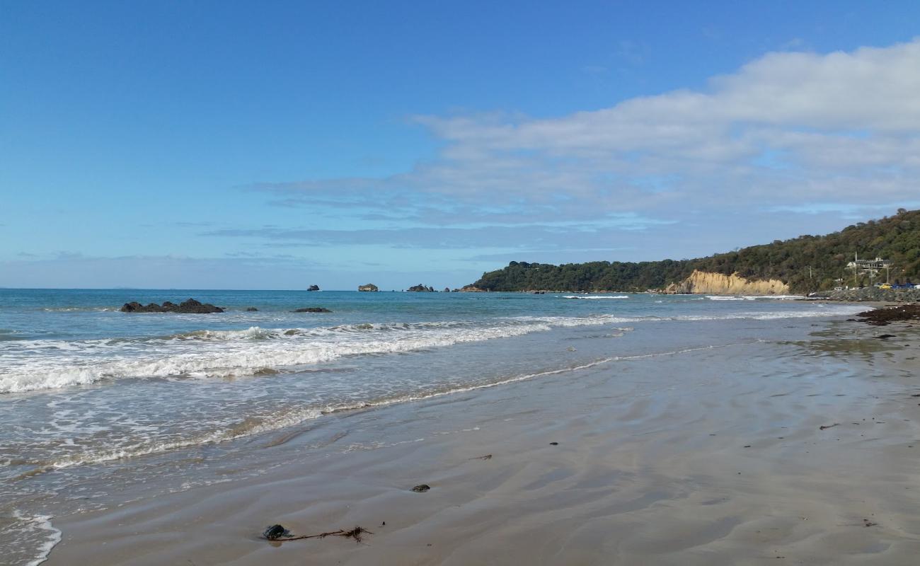 Walkerville North Beach'in fotoğrafı açık bej kum yüzey ile
