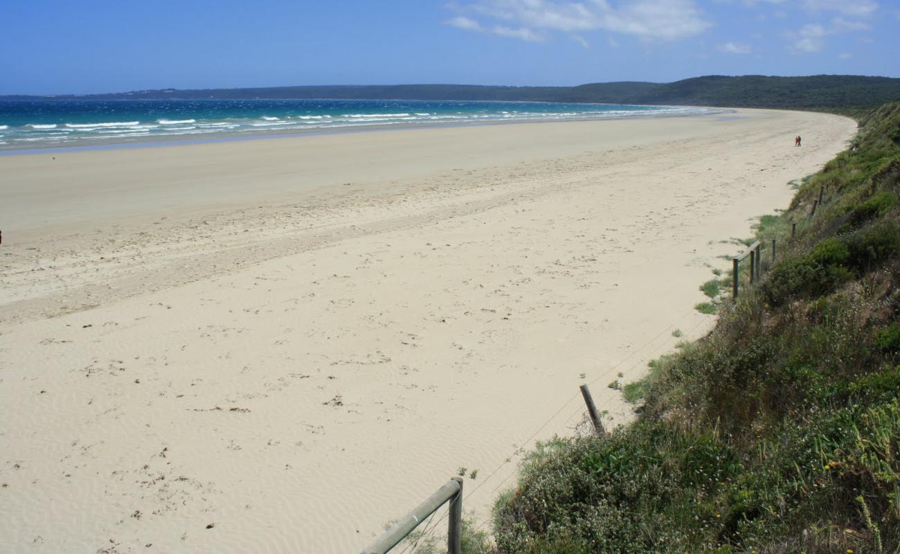 Waratah Beach'in fotoğrafı parlak kum yüzey ile